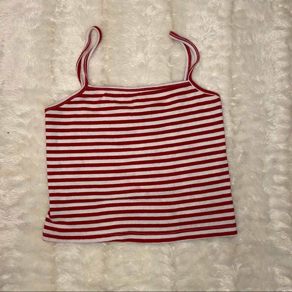 BRANDY MELVILLE red striped crop top!